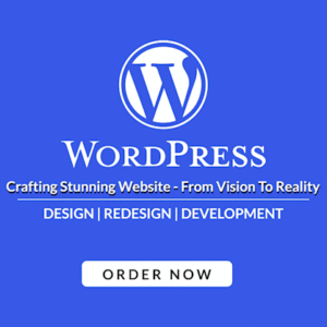 I will do modern minimalist custom business logo design and redesign